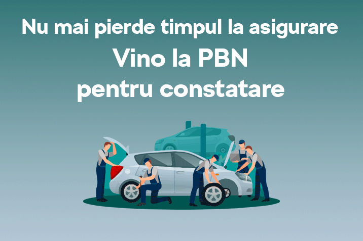 pbn-autoconstatari